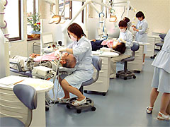 春夏秋冬 年4回の通院でお口の健康管理をしてみましょう